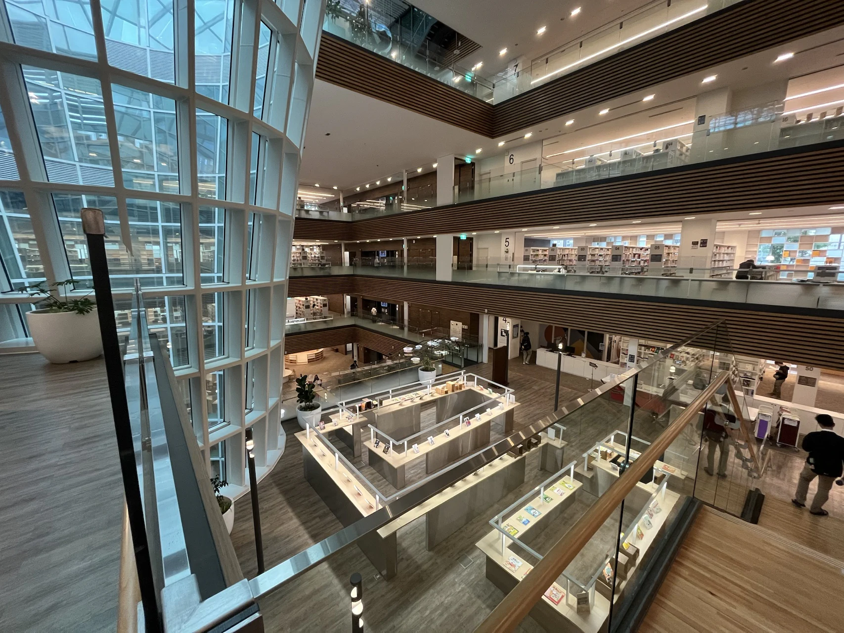 image-20241224131032941