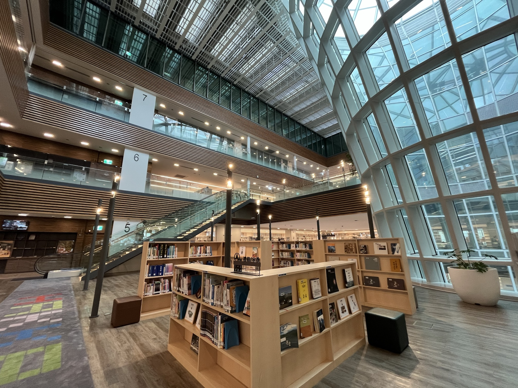 image-20241224131045145