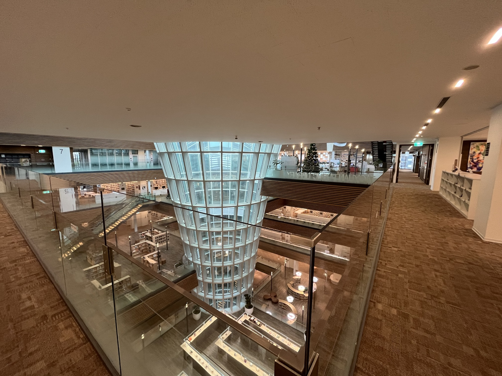 image-20241224132107385